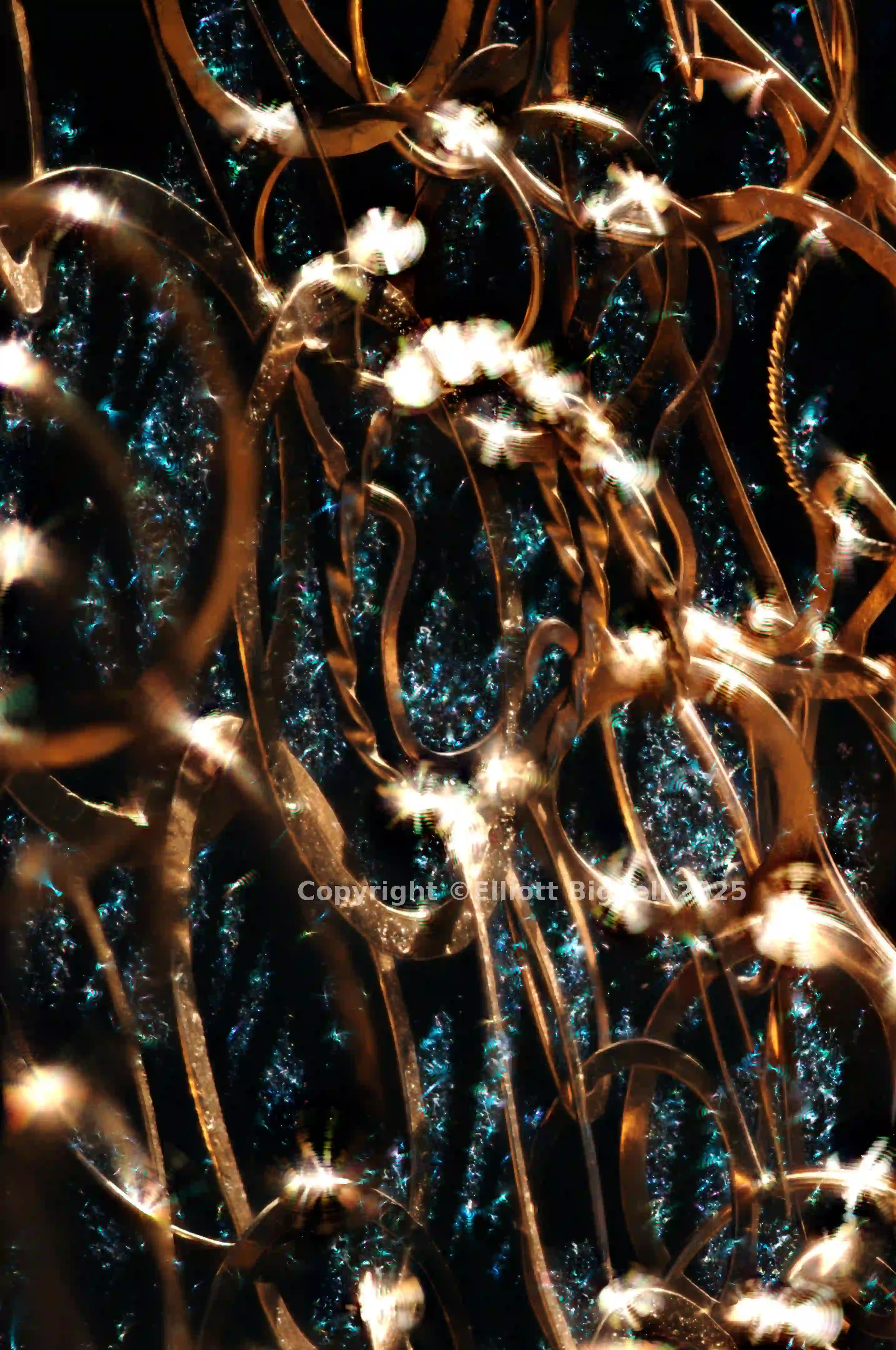 2013-10-23-20.15.49 ZS PMax.jpg